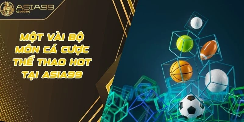 Một vài bộ môn cá cược thể thao hot tại Asia99